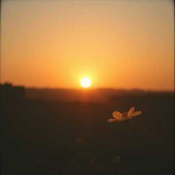 First Light
