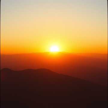 Rising Dawn